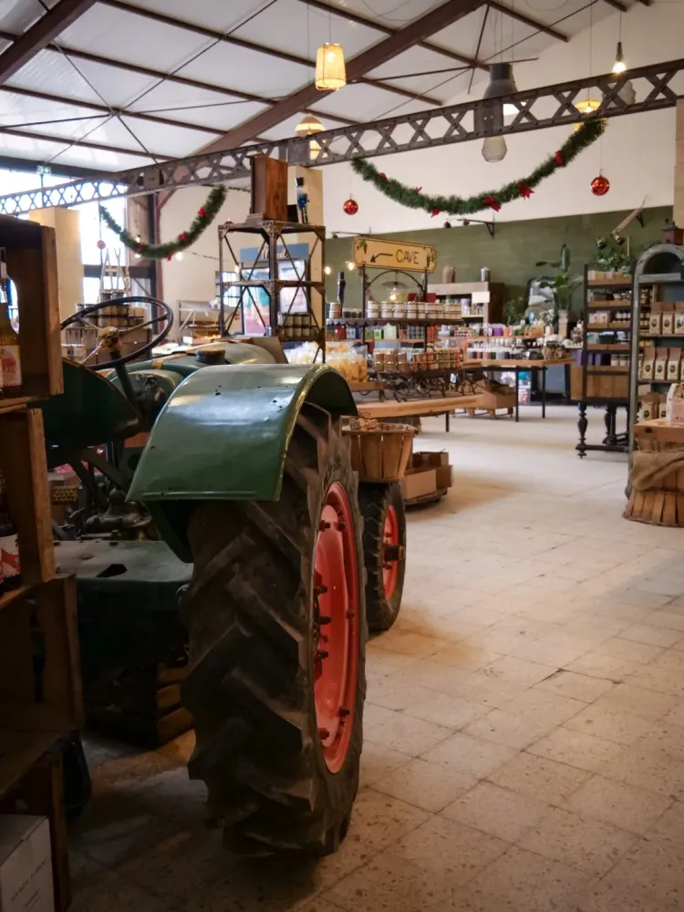 rayon épicerie (11)